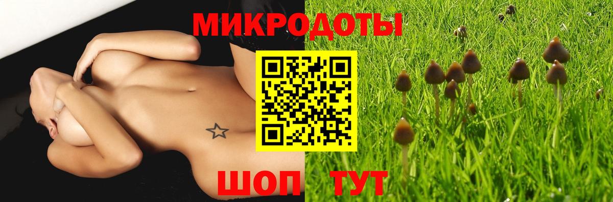 Зеленогорск  Галлюциногенные грибы мицелий  Вход с VPN 
